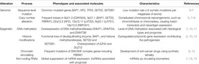 Epigenetic Alterations and Biomarkers for Immune Checkpoint Inhibitors–Current Standards and Future Perspectives in Malignant Pleural Mesothelioma Treatment